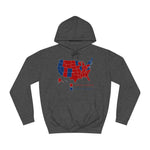 Complete Morons (Red States) - Idiotic Crybabies (Blue States) 2016 - Hoodie