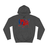 Complete Morons (Red States) - Idiotic Crybabies (Blue States) 2016 - Hoodie